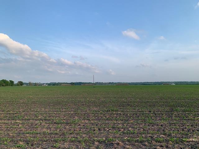 Tract 3 County Road 425