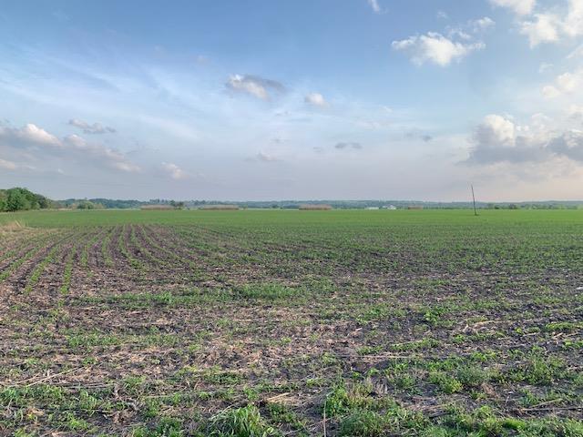 Tract 3 County Road 425