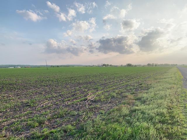 Tract 3 County Road 425