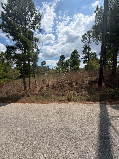 Photo of Lot 1189 Awehi LN, Bastrop, TX 78602 (MLS # 7751181)