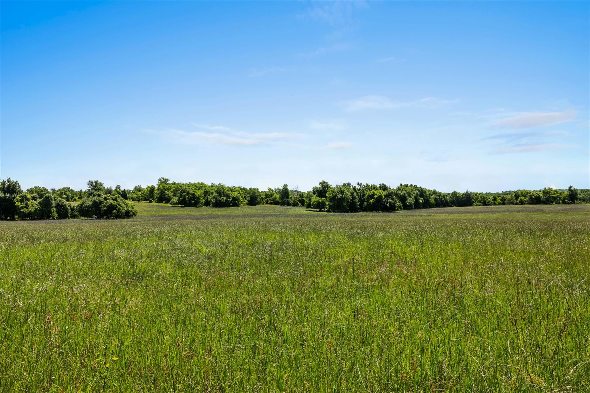 Lot 4 County Road 270