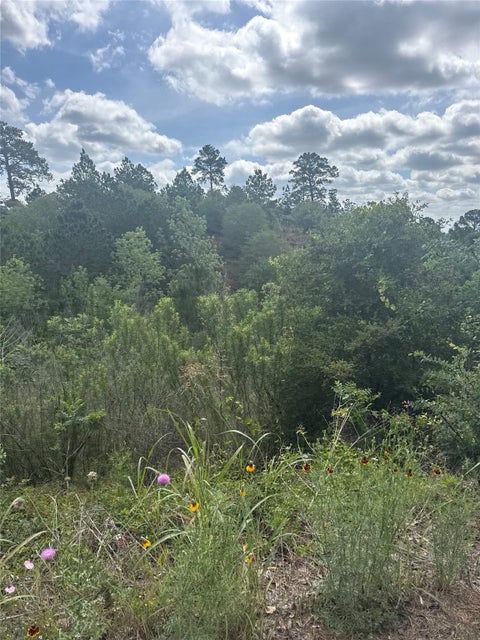 Photo of Lot 798 Tahitian DR, Bastrop, TX 78602 (MLS # 1335423)