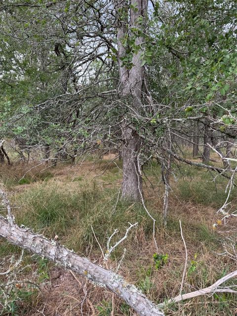 128 E Pauwela LN Bastrop TX 78602