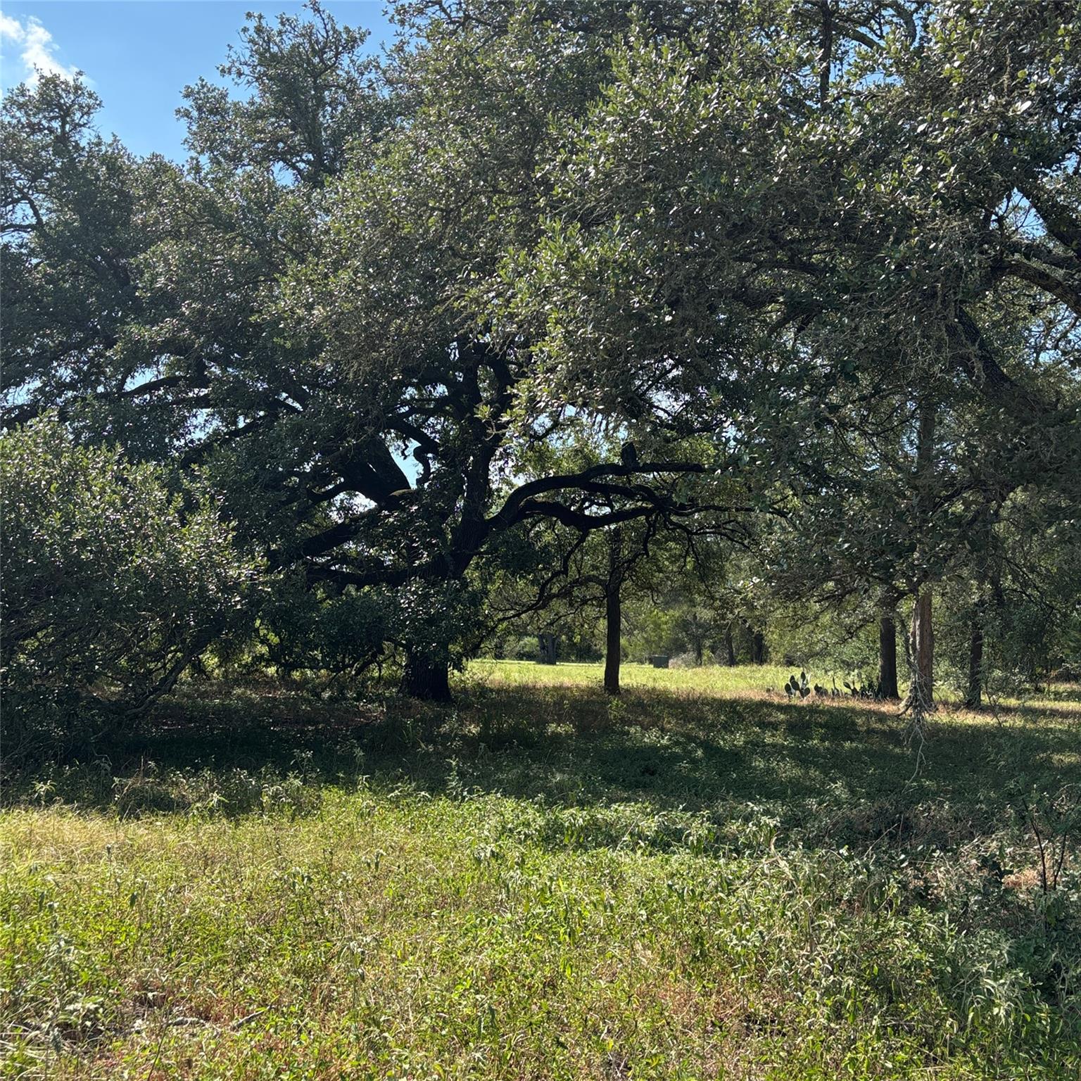 2477 State Highway 159