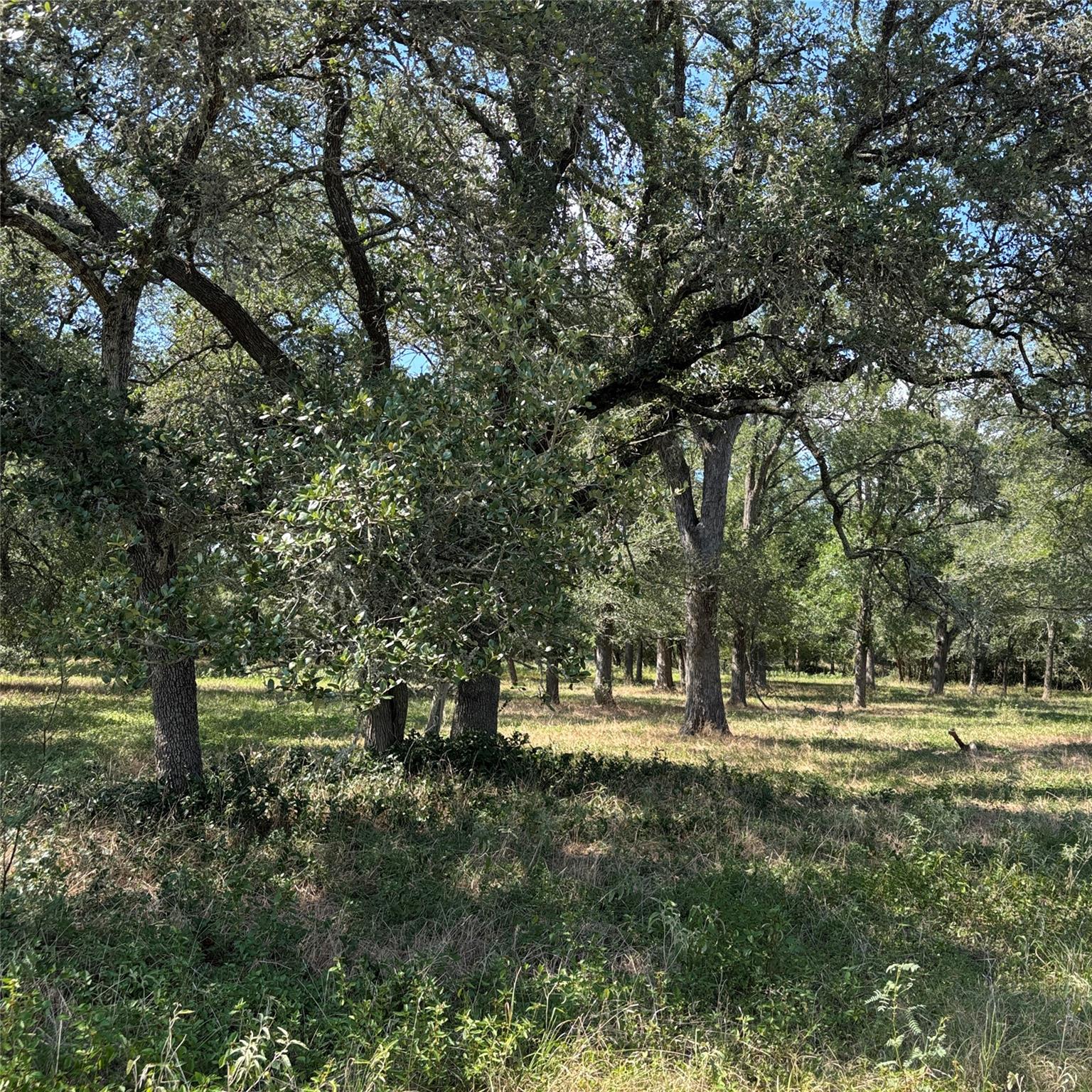 2477 State Highway 159