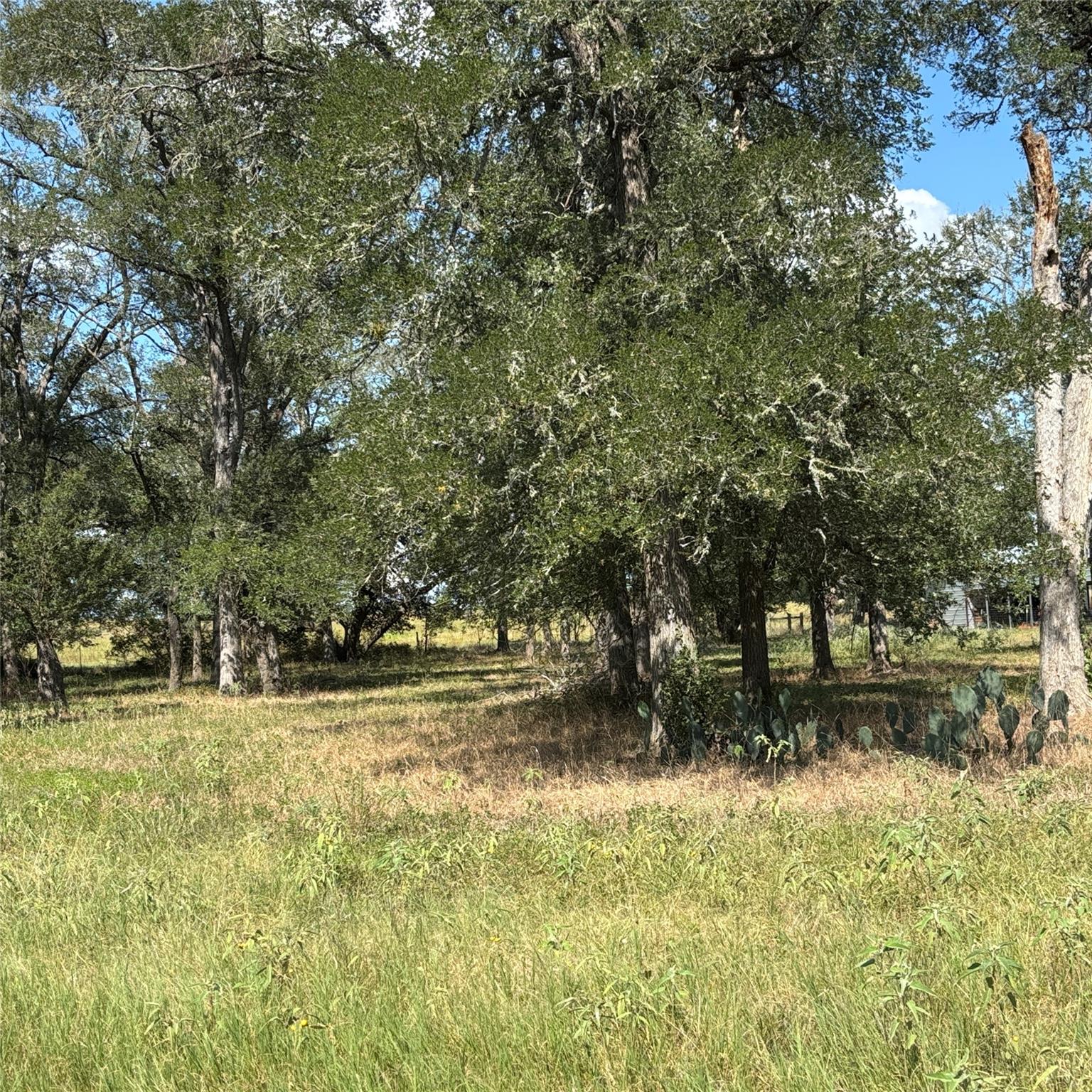 2477 State Highway 159