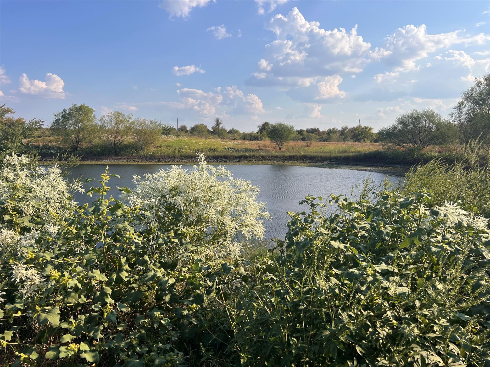 3191 County Road 463