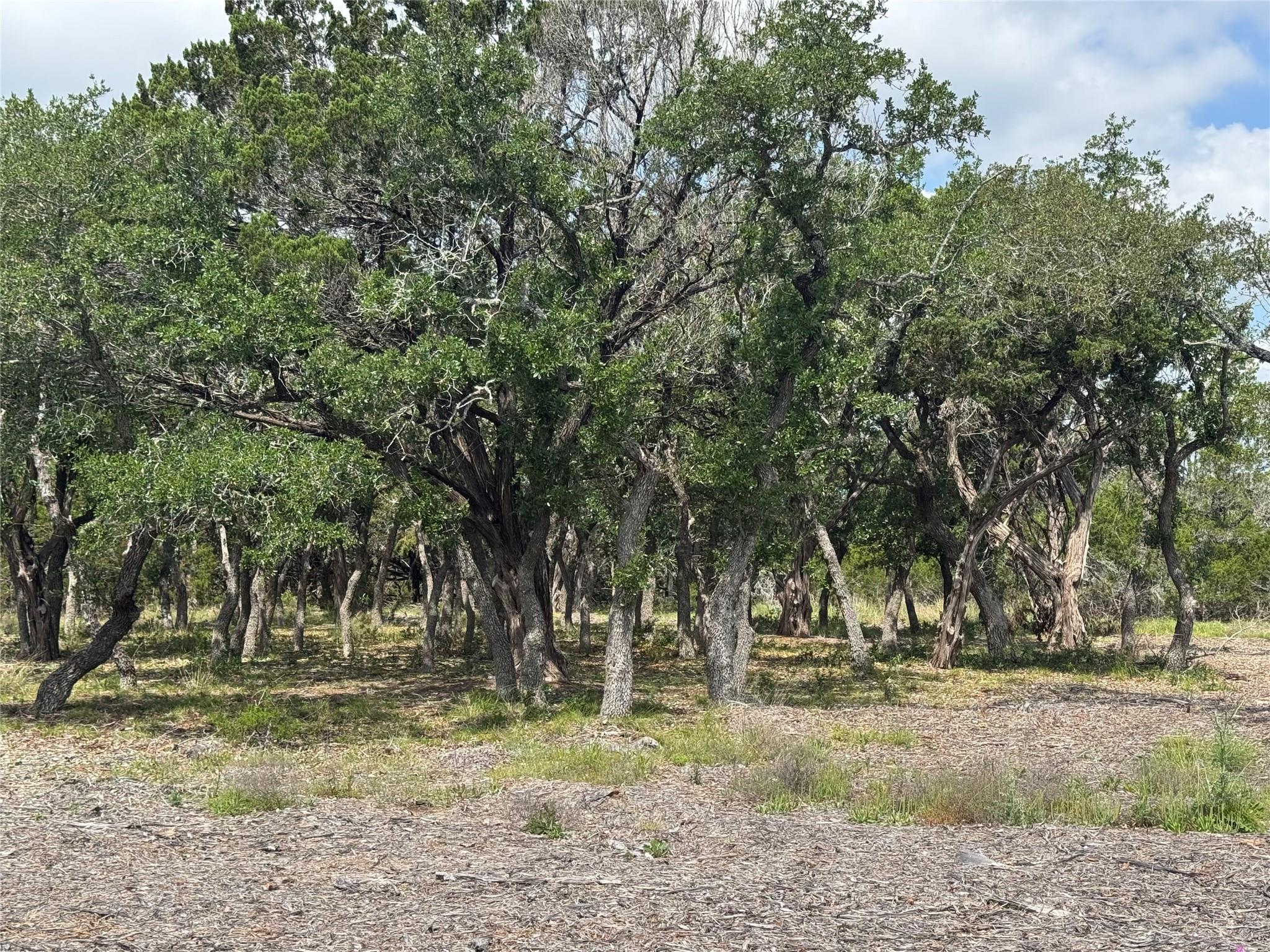 Lot 37 Riparian Elm RD