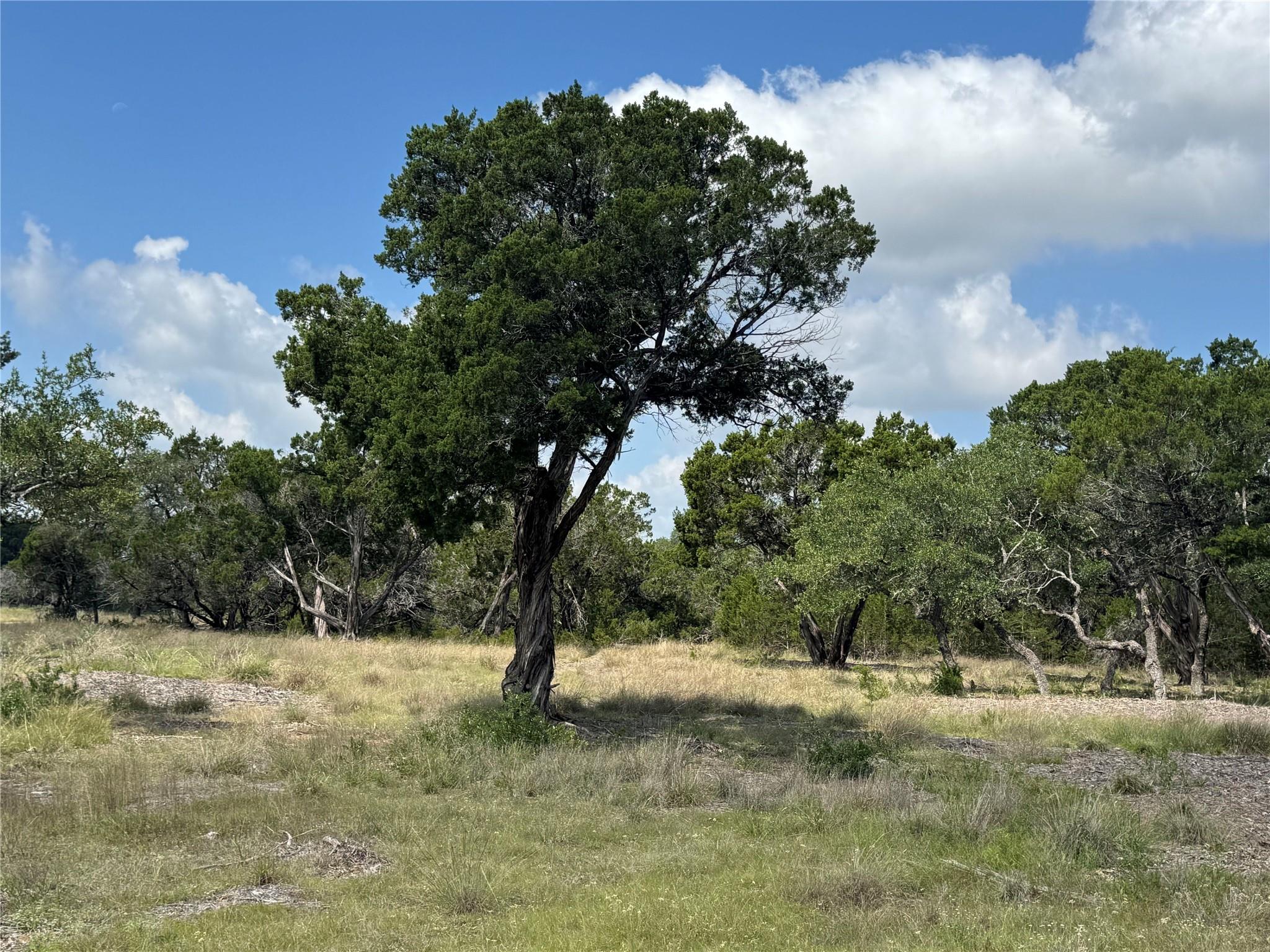 Lot 37 Riparian Elm RD