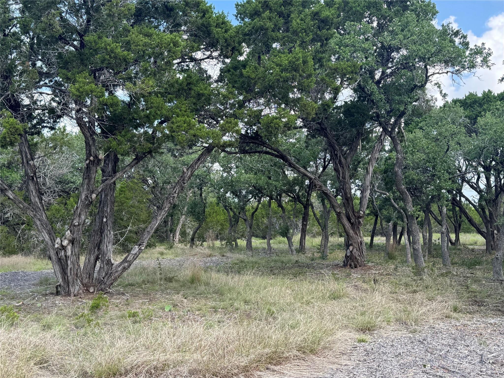 Lot 37 Riparian Elm RD