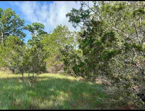 K10041 Bald Eagle Horseshoe Bay TX 78657