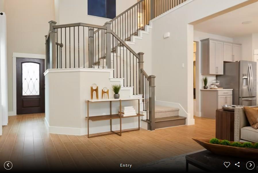 5113 Monarda Mint DR