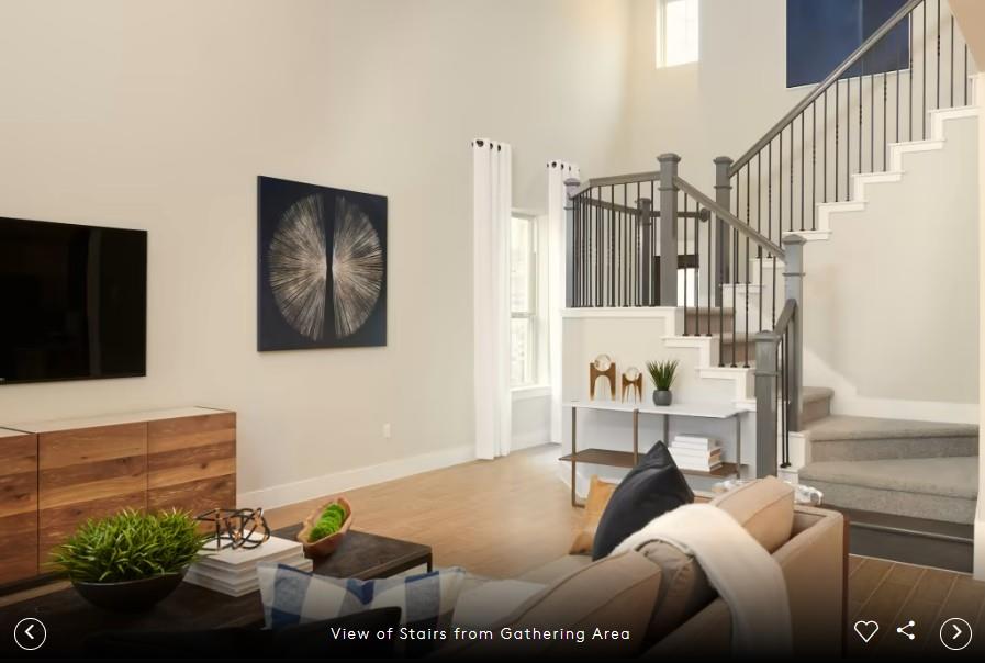 5113 Monarda Mint DR