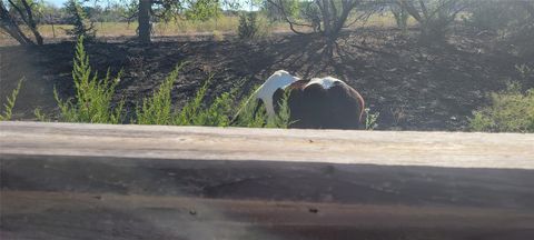 Tiny photo for 11109 Sentinel DR, Austin, TX 78747 (MLS # 1800507)