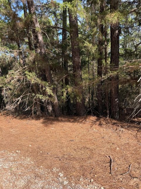 Photo of Lot 266 Wainee DR, Bastrop, TX 78602 (MLS # 8578625)