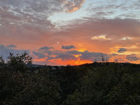 3800 Laurel Ledge LN Austin TX 78731