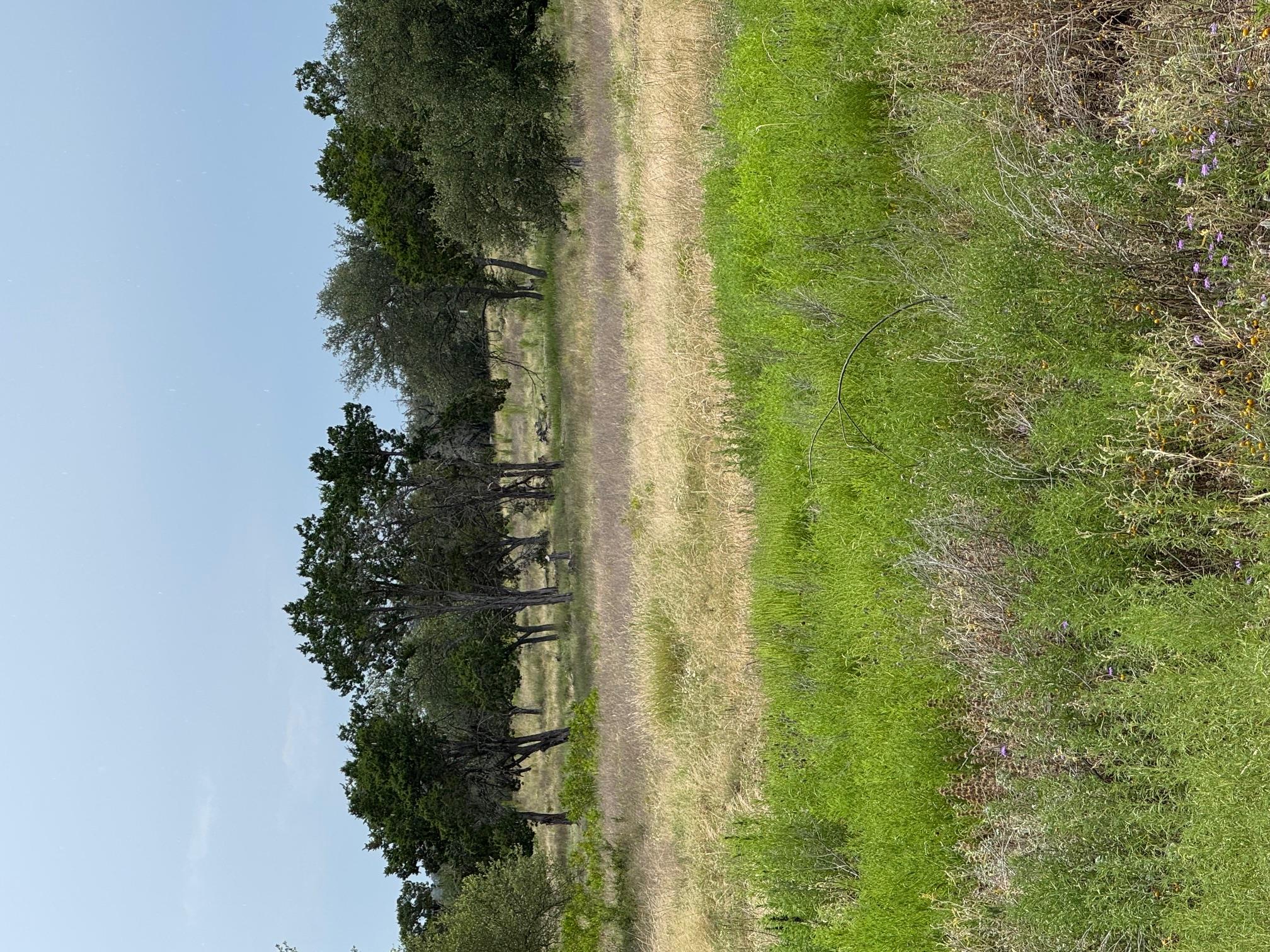 View of undeveloped land with rural landscape