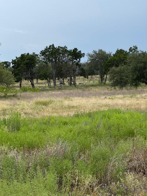 Photo of 251 Pioneer TRL, Dripping Springs, TX 78620 (MLS # 1233686)