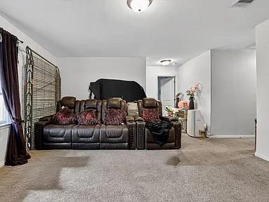 14017 Sherri Berry WAY