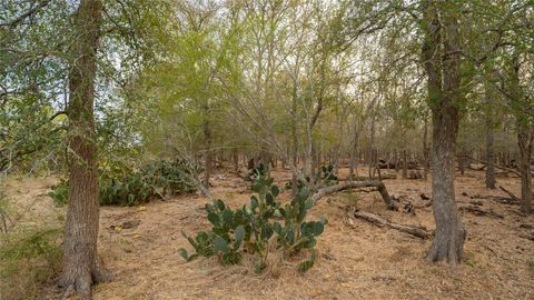 3980 (Tract 5) Fm 3158 Dale TX 78616