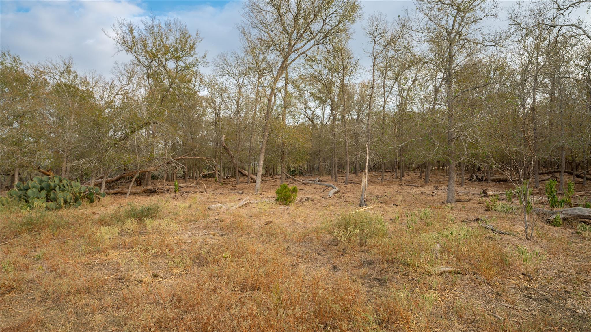 3980 (Tract 5) Fm 3158