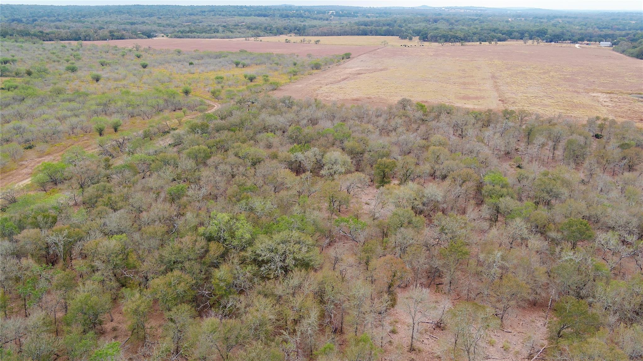 3980 (Tract 5) Fm 3158