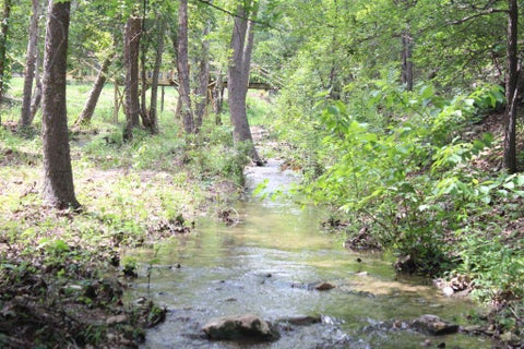 Tiny photo for 17234 E Reed Parks RD, Jonestown, TX 78645 (MLS # 3128961)