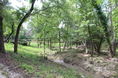 Tiny photo for 17234 E Reed Parks RD, Jonestown, TX 78645 (MLS # 3128961)