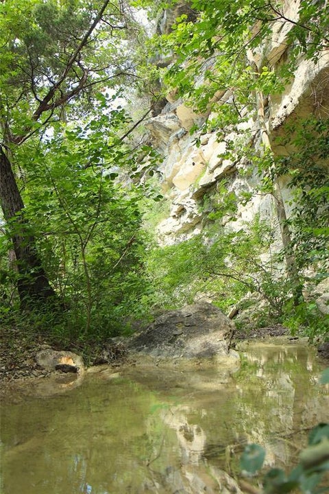 Tiny photo for 17234 E Reed Parks RD, Jonestown, TX 78645 (MLS # 3128961)