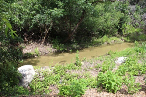 Tiny photo for 17234 E Reed Parks RD, Jonestown, TX 78645 (MLS # 3128961)
