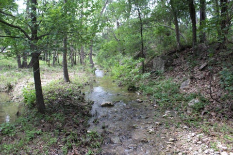 Tiny photo for 17234 E Reed Parks RD, Jonestown, TX 78645 (MLS # 3128961)