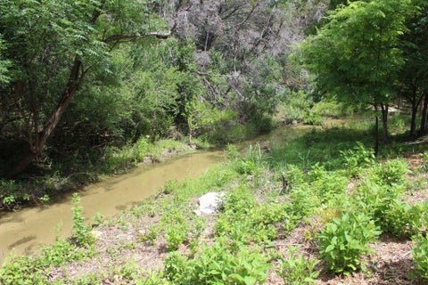 Tiny photo for 17234 E Reed Parks RD, Jonestown, TX 78645 (MLS # 3128961)