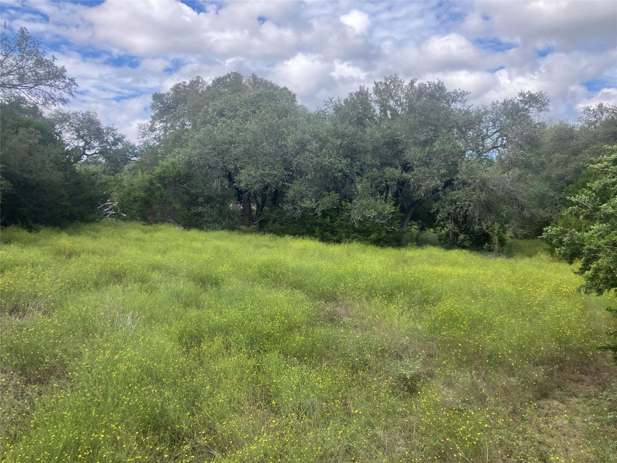 005 Post Oak Bend LOOP
