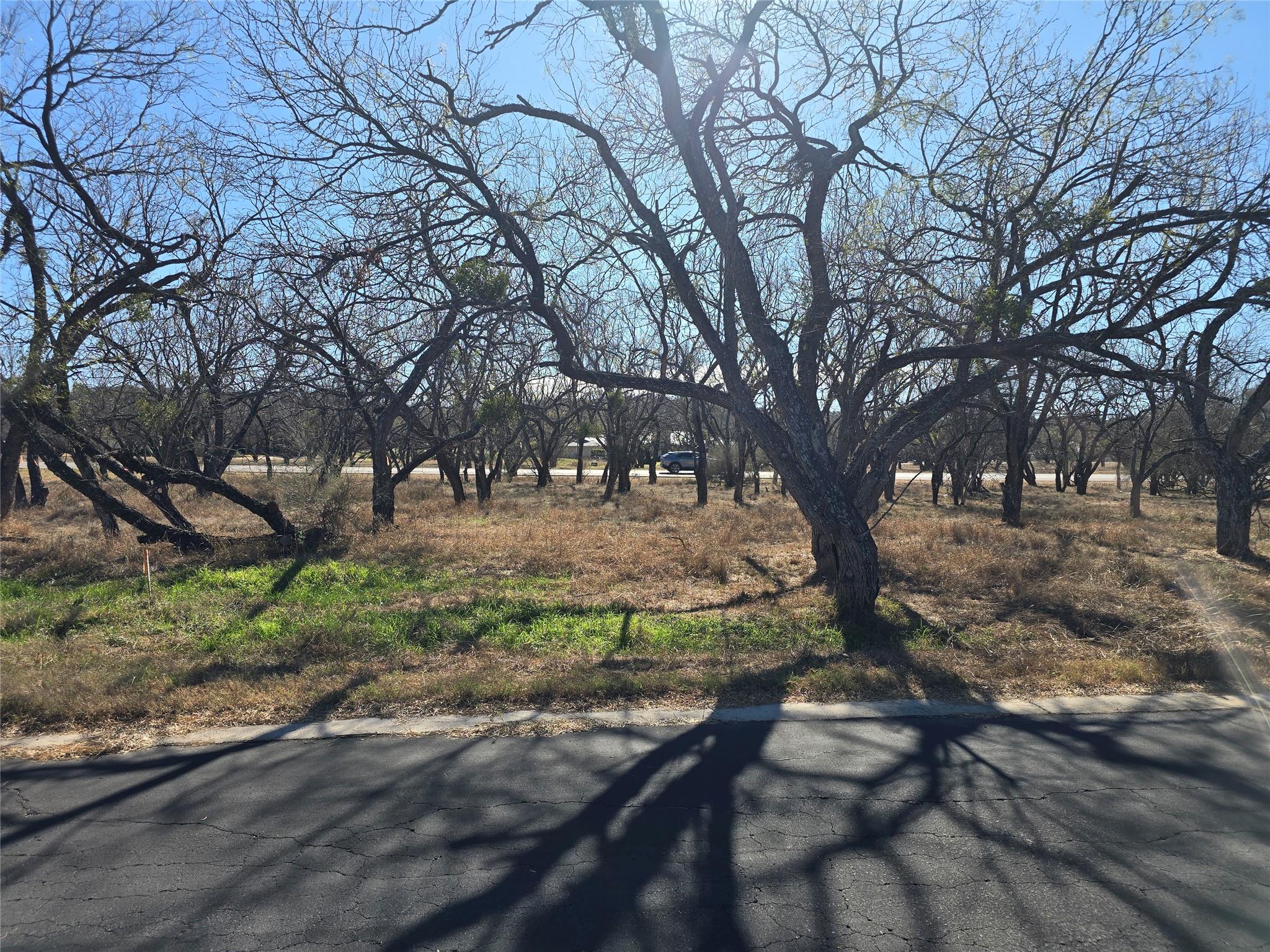 Lot 9006-A Springfield RD A