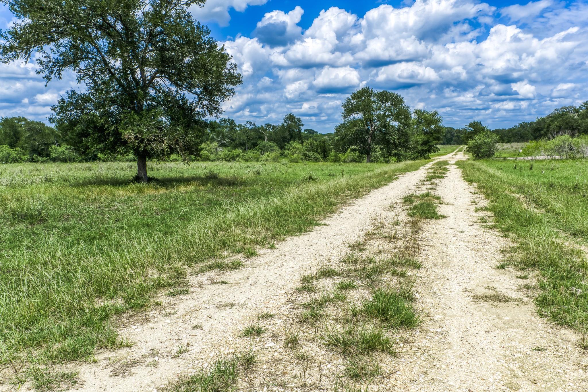 Photo 1 of 40 — TBD(+/- 237.91 AC) HWY 36 S, Caldwell, TX 77836