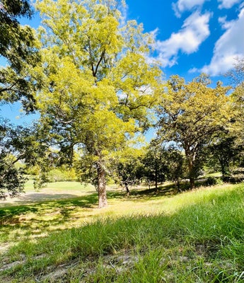 COUNTRY CLUB CT, LA GRANGE, TX 78945 - Image 9abc7c2bd3a5b3d53243e1e569f5013d/4044108769