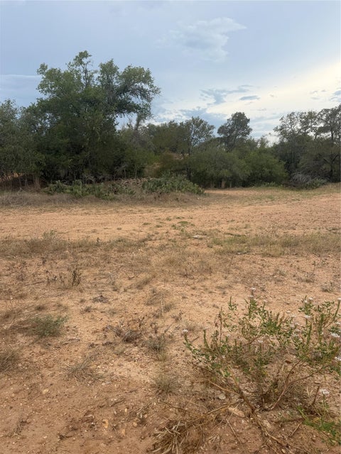 Photo of 309 Kahana LN, Bastrop, TX 78602 (MLS # 6936082)
