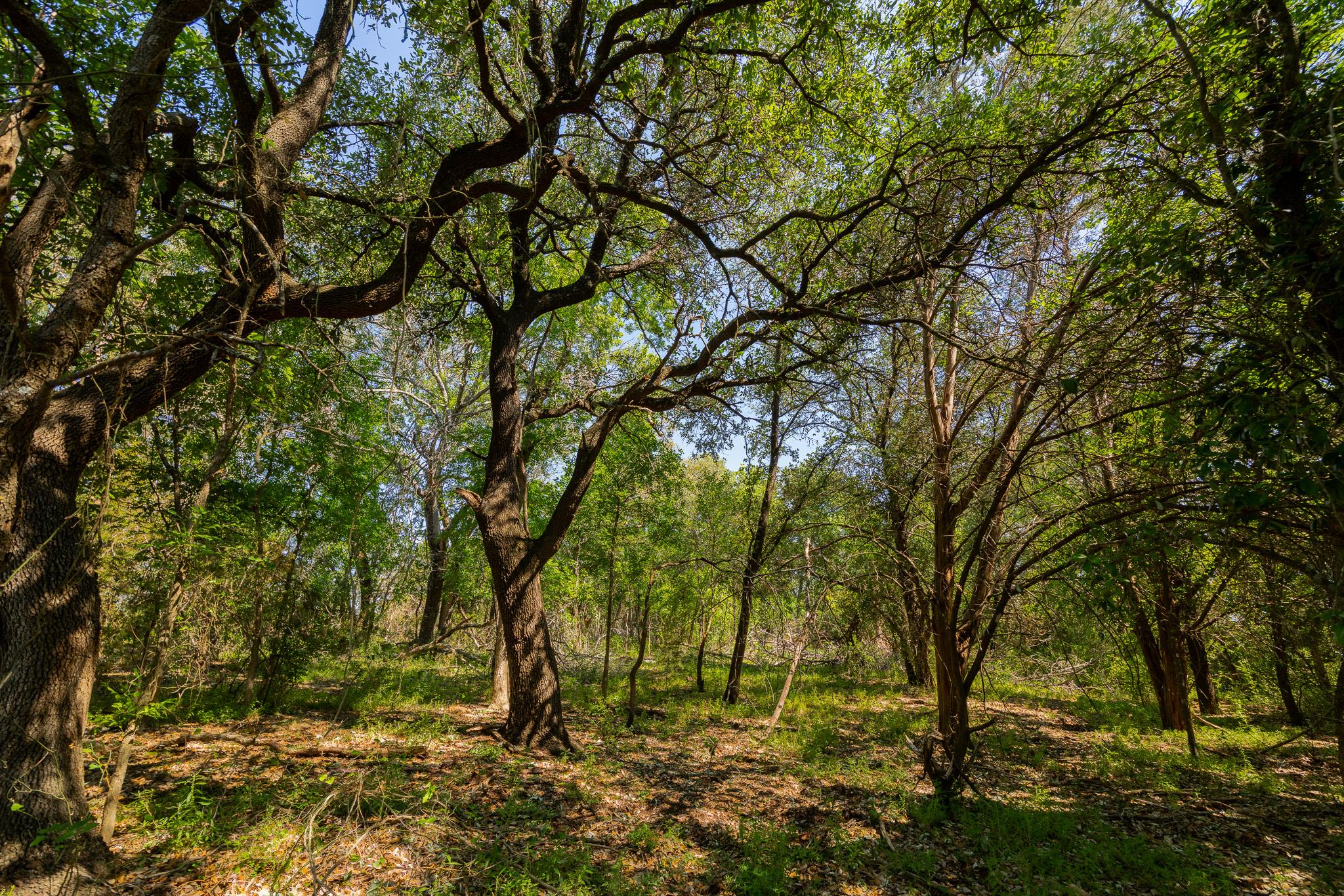 TBD County Road 180 Mesquite Hollow Ranch RD
