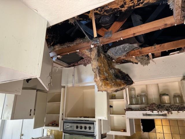 1807 Ferguson LN