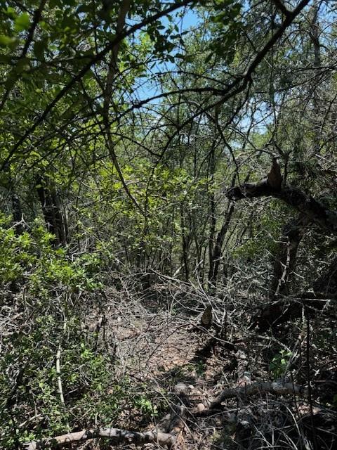 157 Lamaloa LN