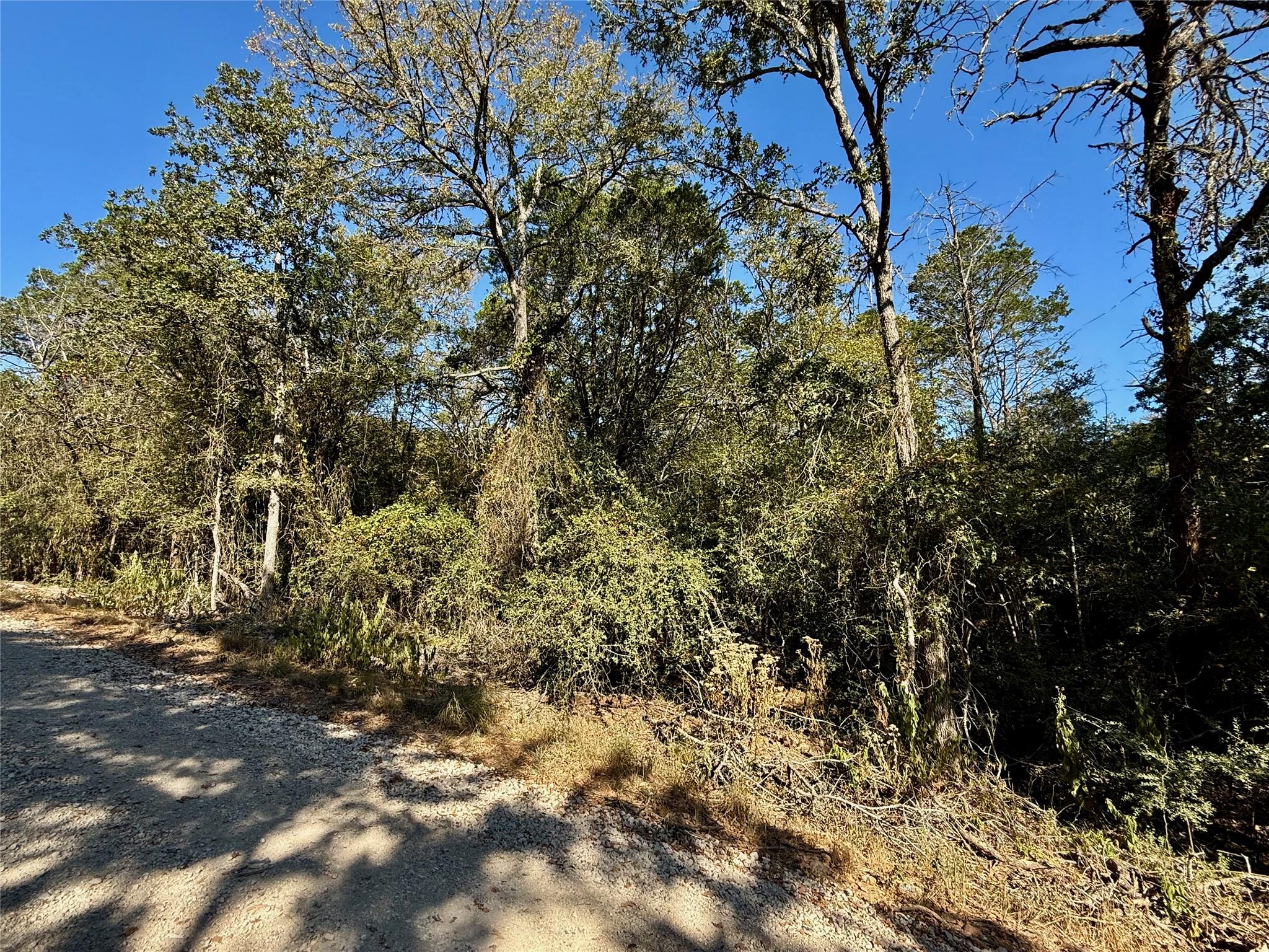 TBD Lot 1232 Hanauma DR