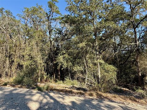 Photo of TBD Lot 1232 Hanauma DR, Bastrop, TX 78602 (MLS # 2820862)