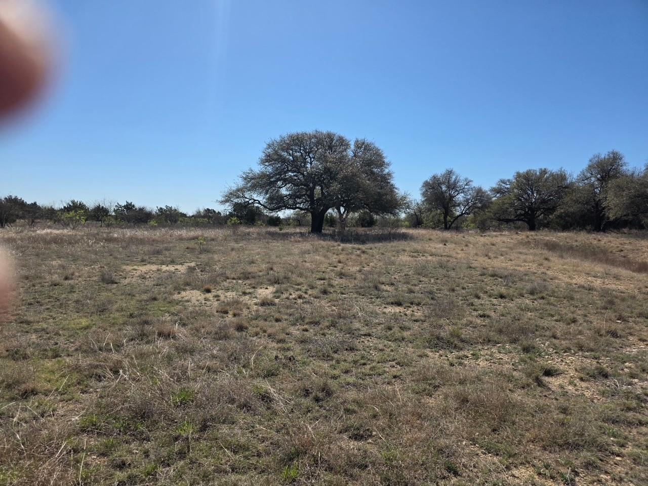 Lot 13 Pr 4212