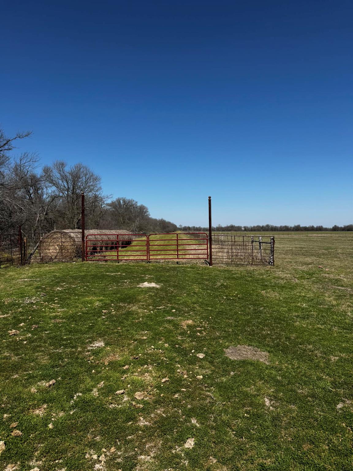 541 County Road 464