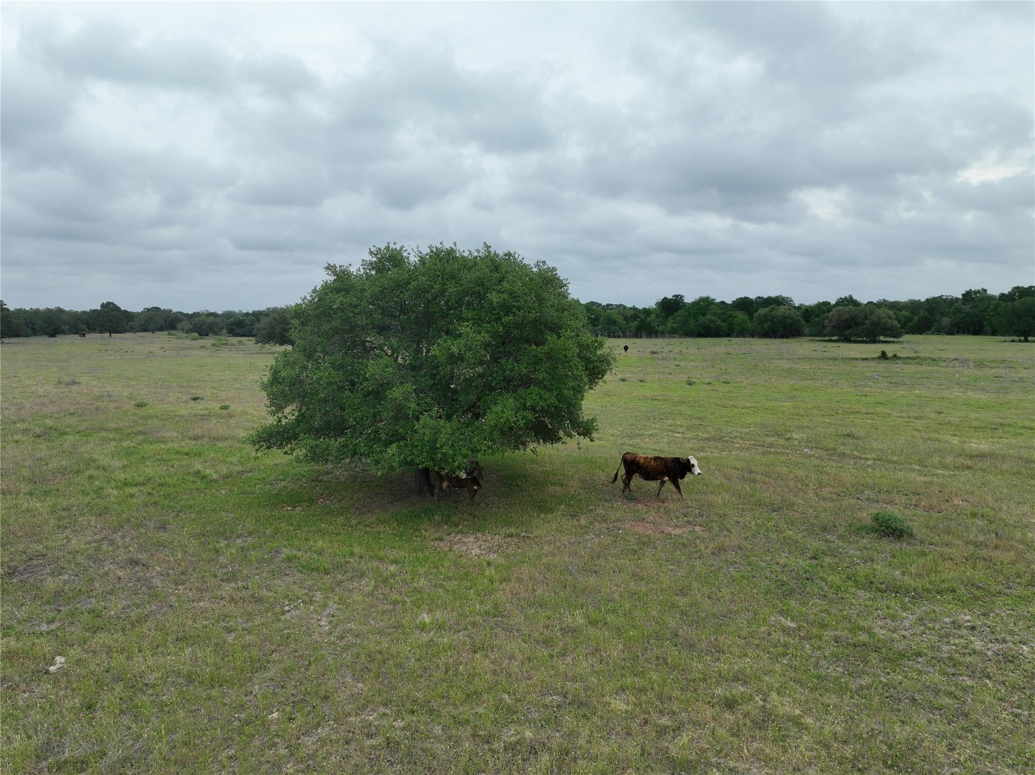 TBD Lot 1 County rd 127 RD