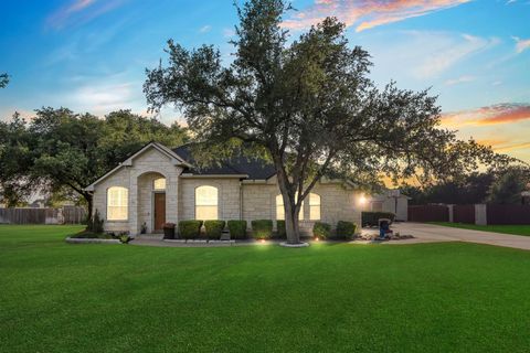 313 Polo Pony Liberty Hill TX 78642