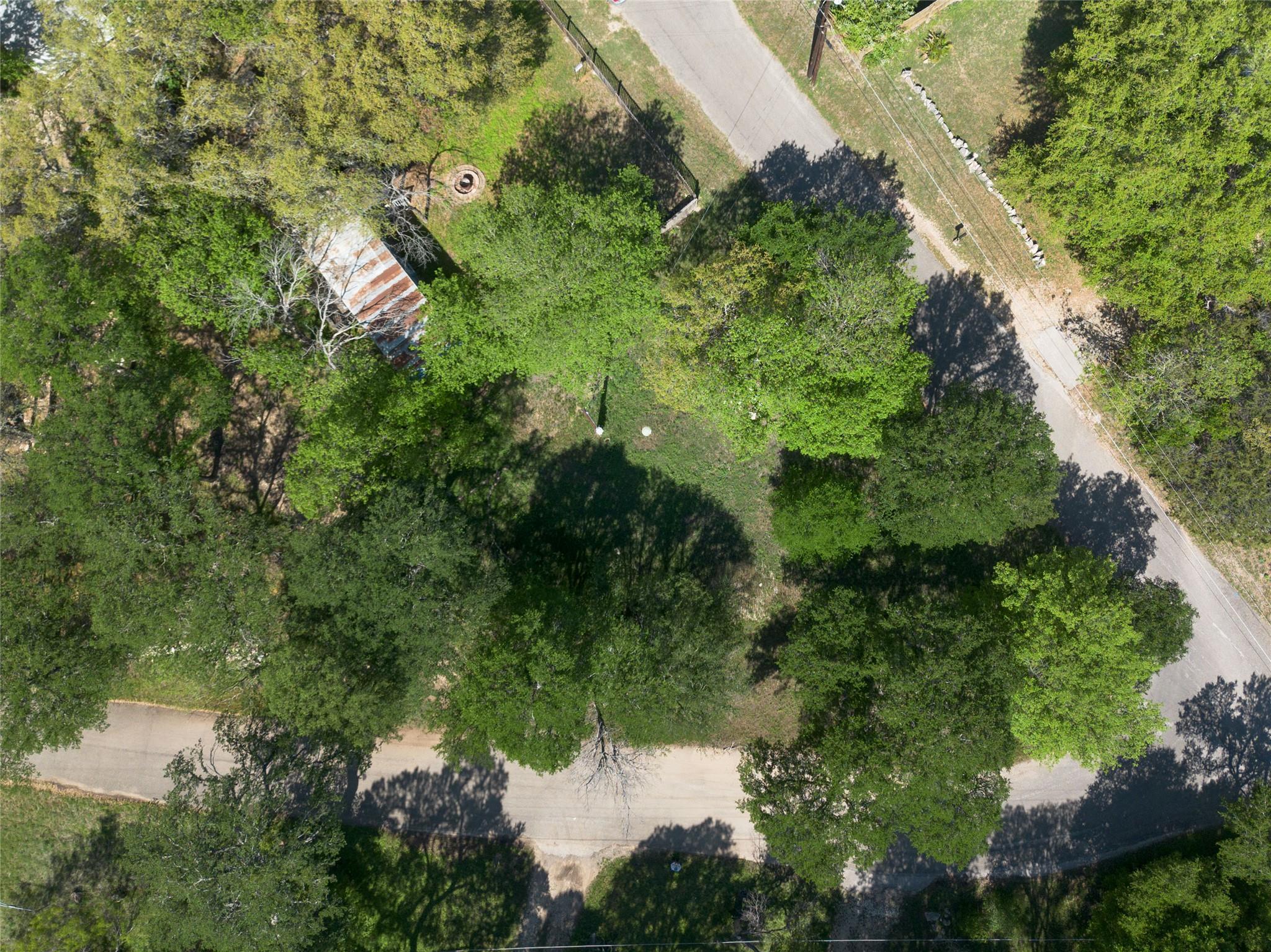 17709 Sandy LN