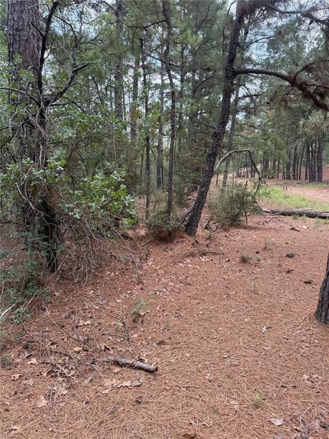 Photo of Lot 35 Tanglewood DR, Bastrop, TX 78602 (MLS # 3010408)