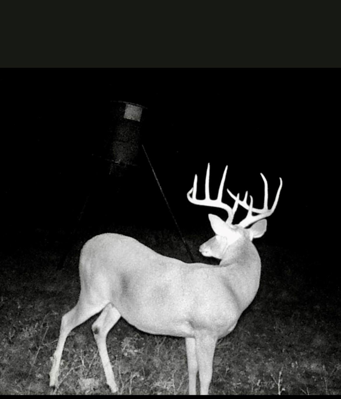 1580 County Road 2113 RD