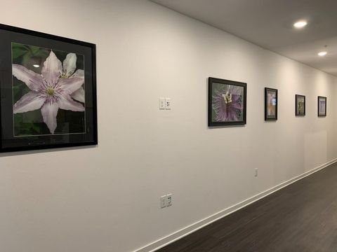 Tiny photo for 4361 S Congress Ave #304, Austin, TX 78745 (MLS # 2424321)